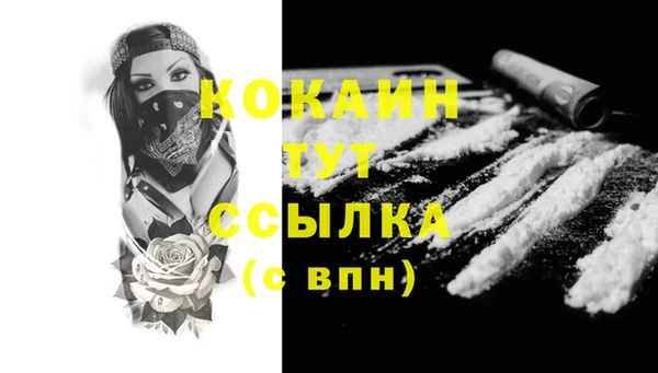 СК Бронницы