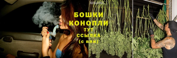СК Бронницы